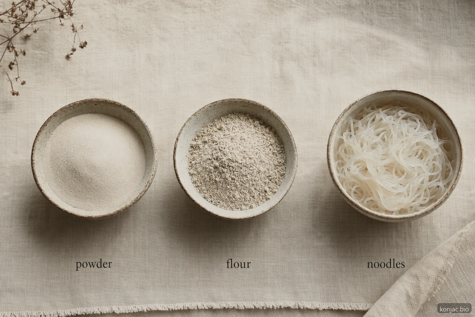 glucomannan powder compared with konjac flour and shirataki noodles, showing distinct konjac ingredient forms