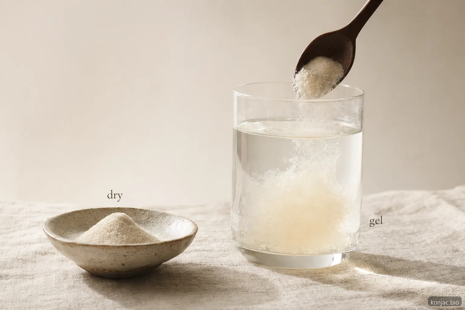 what is glucomannan powder blooming in water shows how konjac fiber binds liquid and forms a thick gel