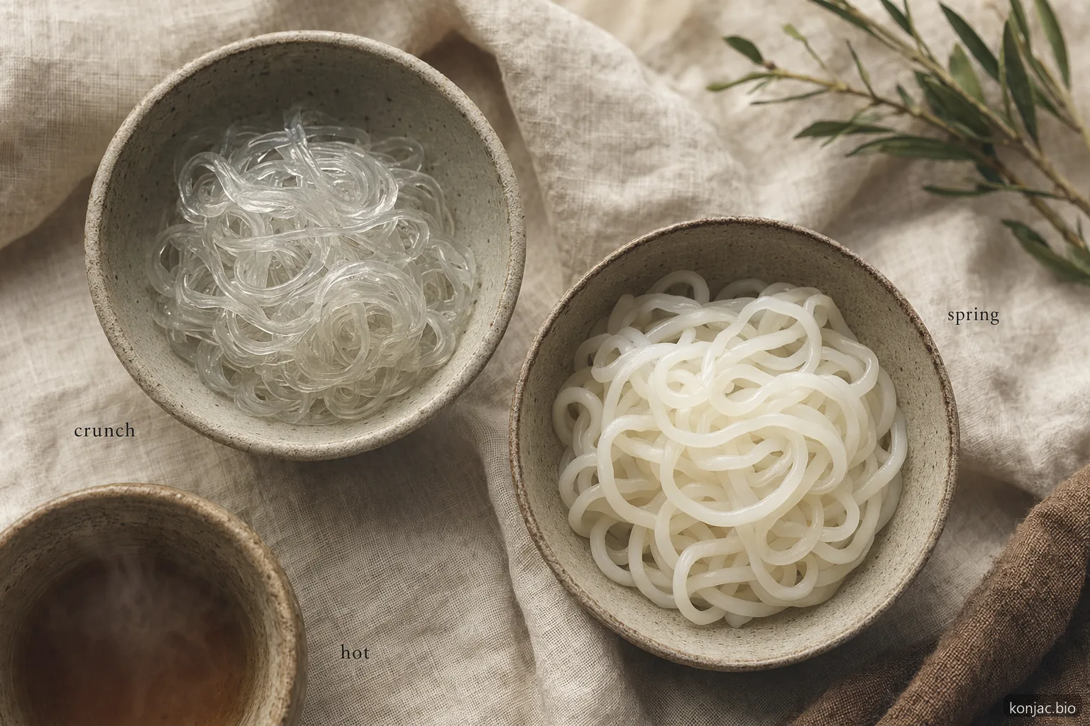 kelp noodles vs konjac noodles differ in use: kelp stays crunchy for salads, konjac suits hot low-carb dishes