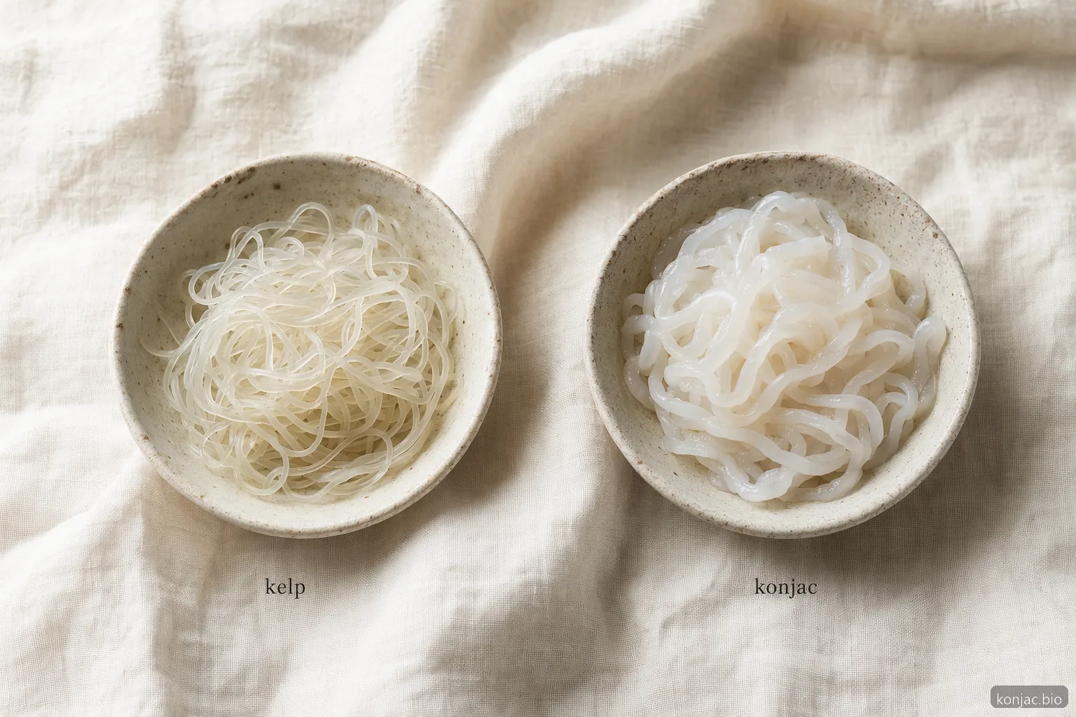 kelp noodles vs shirataki noodles texture comparison shows kelp is crisp while konjac noodles are soft and slippery