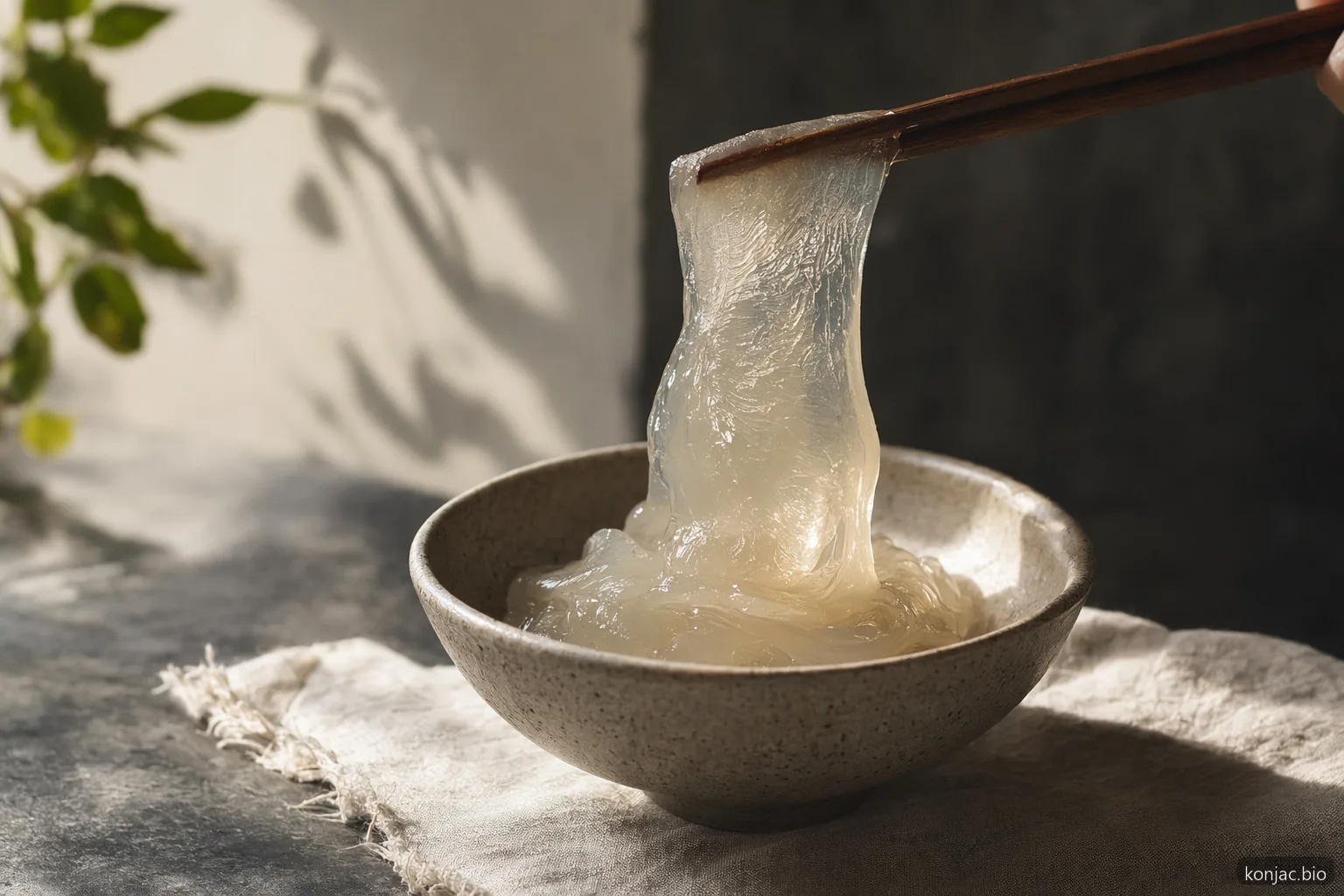Summary overview of konjac gum E425(i) and E425(ii) grades, specifications and applications