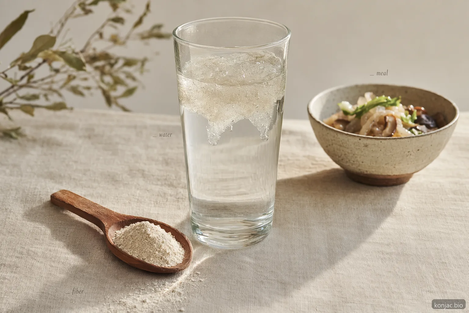 konjac for weight loss works best when glucomannan fiber is taken with water before meals.
