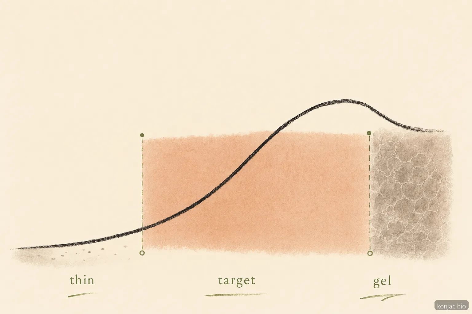 Konjac liquor quality depends on holding viscosity in a target range, avoiding thin dispersion or over-set gel.