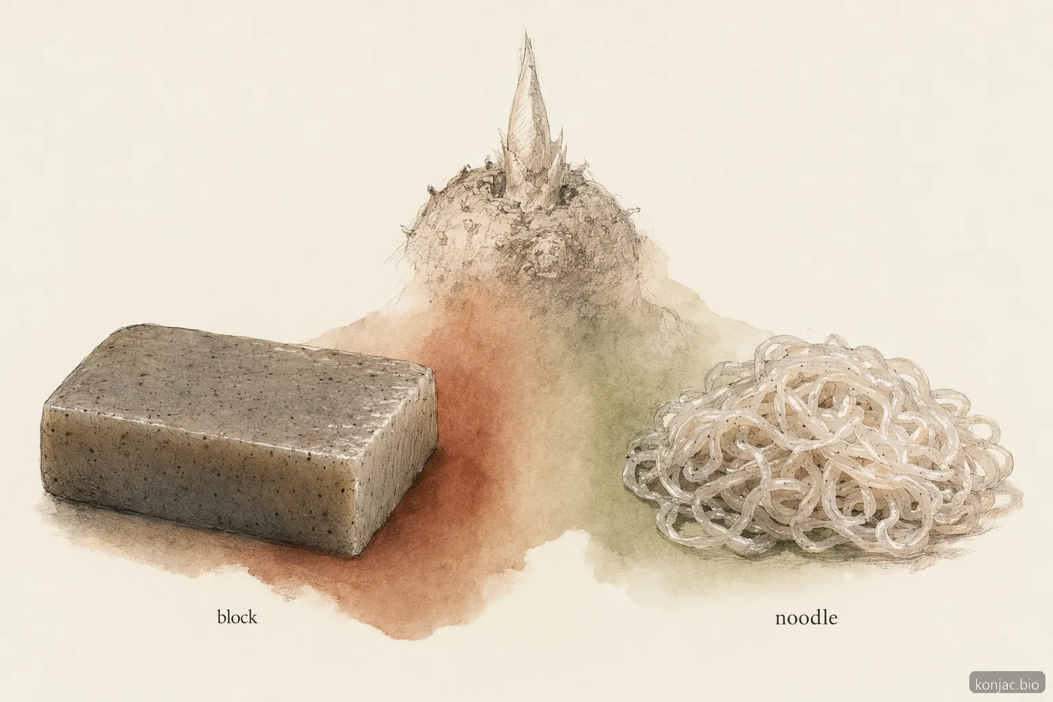 konnyaku konjac and shirataki are the same konjac gel shaped as blocks or noodles for different dishes