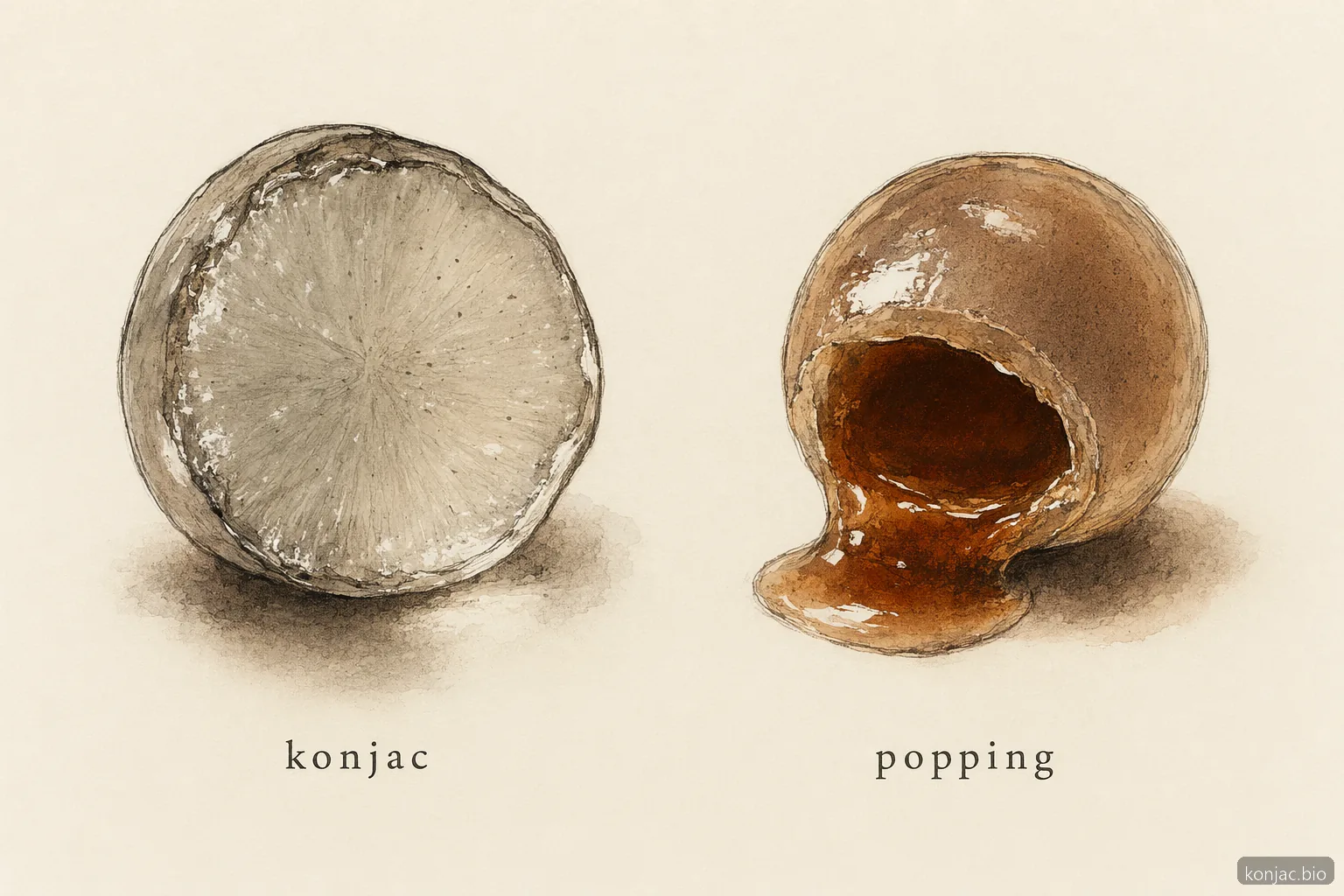Konjac snacks use firm gel boba, while popping boba has a liquid center, so the bite and ingredient logic differ.