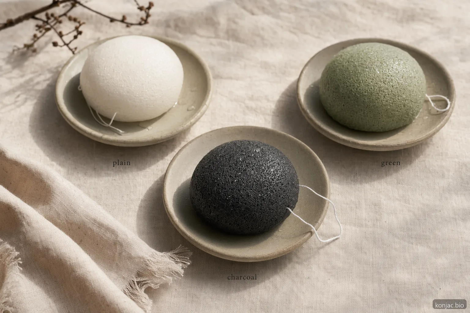 black konjac sponge comparison shows charcoal, plain, and green variants differ by infusion and skin feel