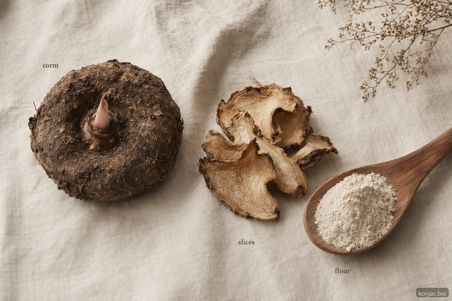 what is konjac flour made from: konjac corms are dried into slices and milled into fine flour