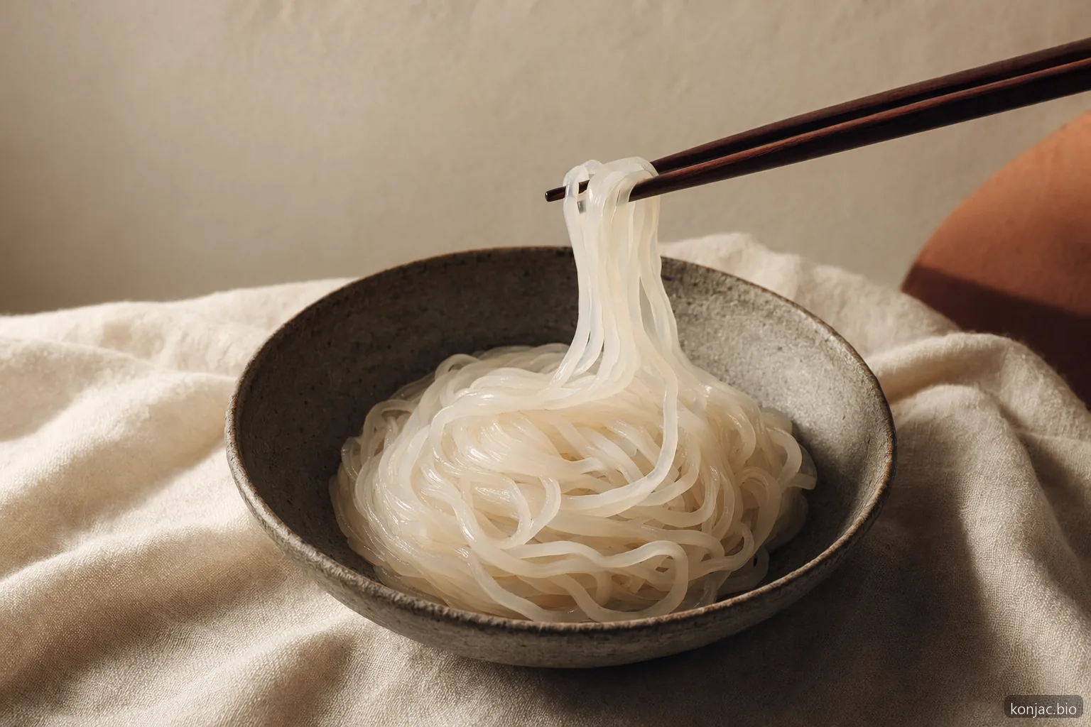 Bulk shirataki noodle packs for wholesale and foodservice buyers