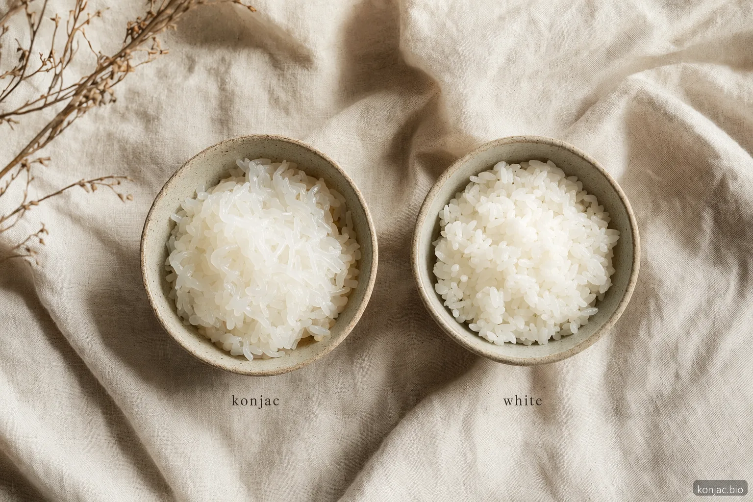 Shirataki noodle rice compared with white rice, showing konjac rice as the lighter low-carb bowl option.